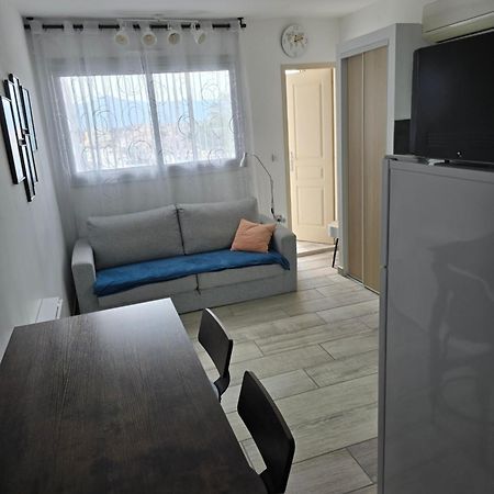 Studio Climatise 50 M.Du Port Saint-Cyprien  Luaran gambar