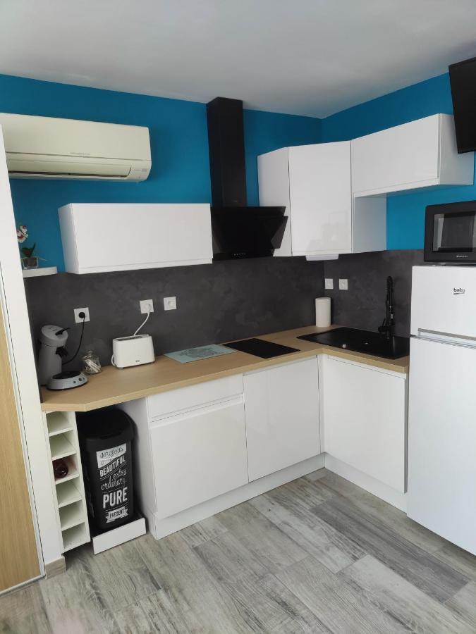 Studio Climatise 50 M.Du Port Saint-Cyprien  Luaran gambar